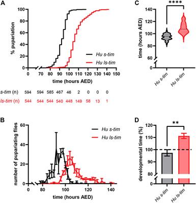 Natural alleles of the clock gene timeless differentially affect life-history traits in Drosophila